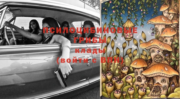 соль ск Алексин